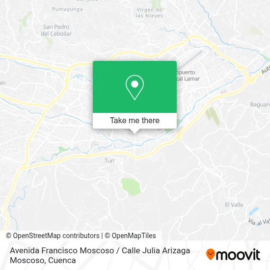 Avenida Francisco Moscoso / Calle Julia Arizaga Moscoso map