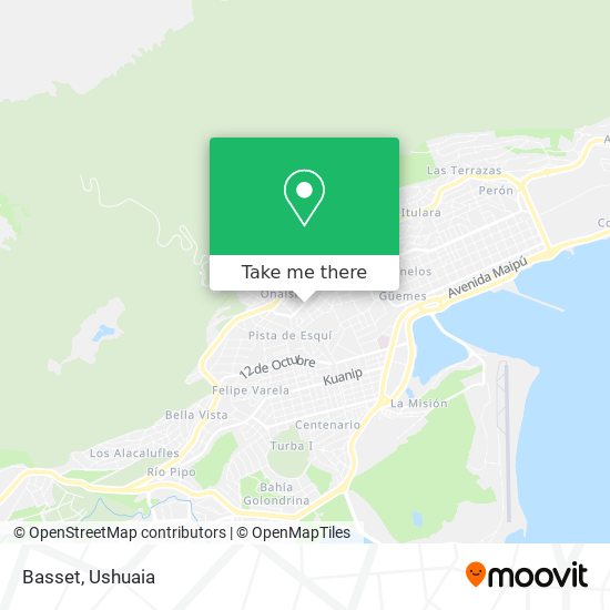 Basset map