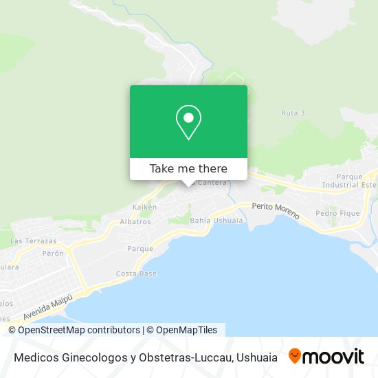 Mapa de Medicos Ginecologos y Obstetras-Luccau