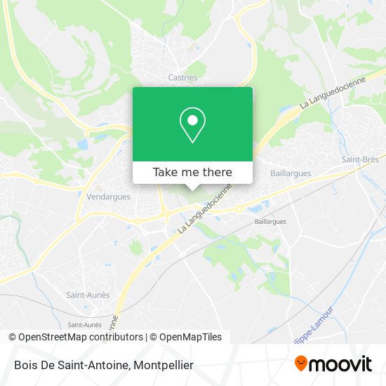 Bois De Saint-Antoine map