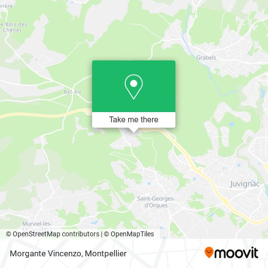 Morgante Vincenzo map
