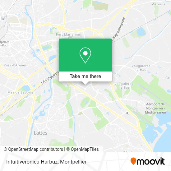 Intuitiveronica Harbuz map