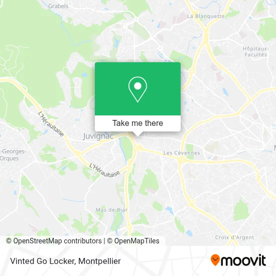 Vinted Go Locker map