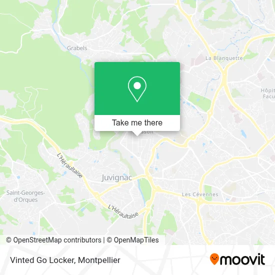 Vinted Go Locker map