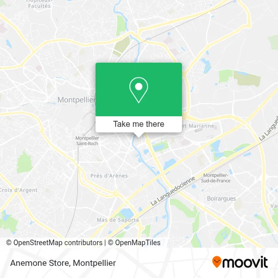 Anemone Store map