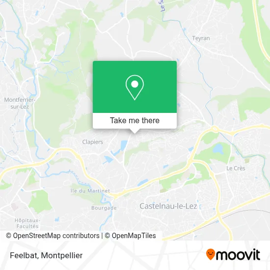 Feelbat map