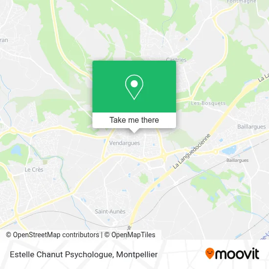 Estelle Chanut Psychologue map