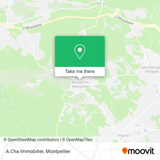 A.Cha Immobilier map