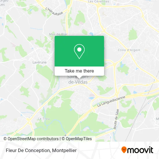 Fleur De Conception map