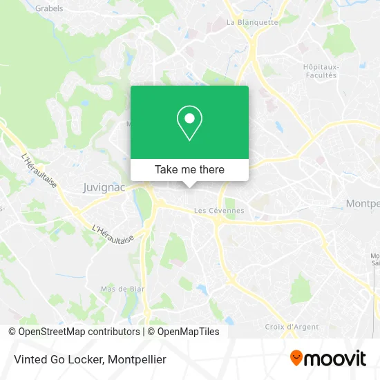 Vinted Go Locker map
