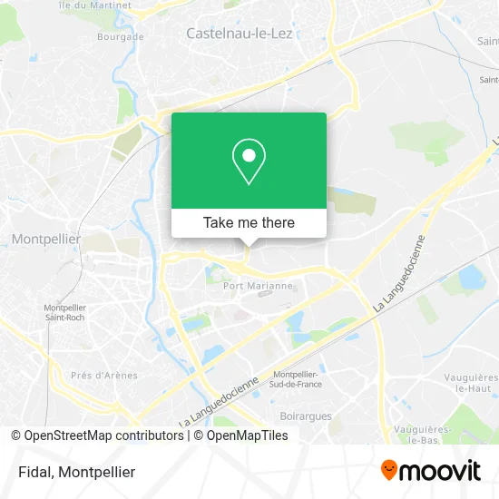 Fidal map