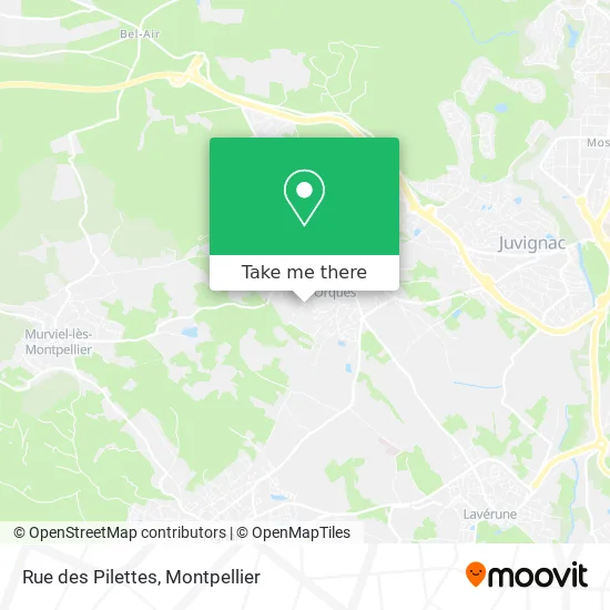 Rue des Pilettes map