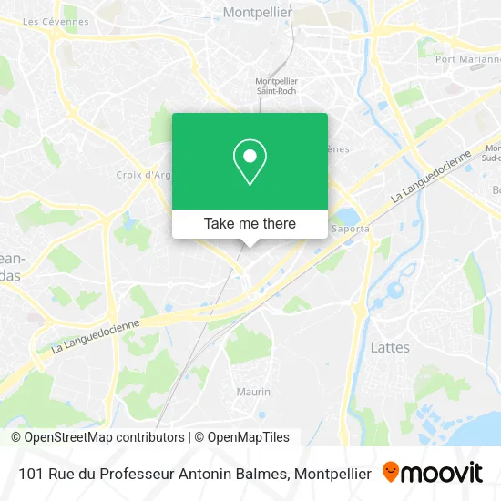 101 Rue du Professeur Antonin Balmes map