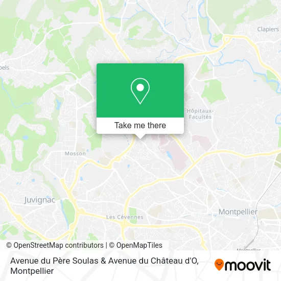 Avenue du Père Soulas & Avenue du Château d'O map