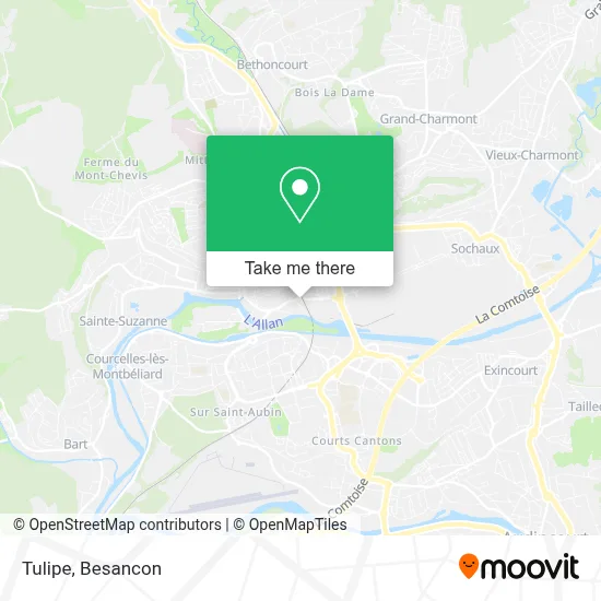 Tulipe map