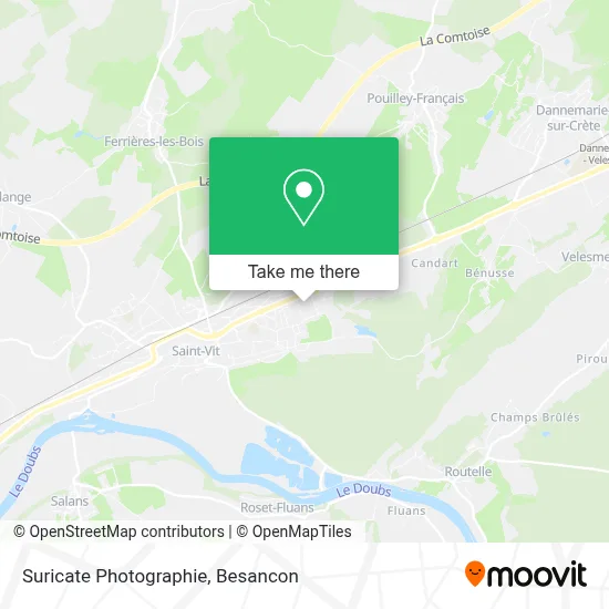 Suricate Photographie map