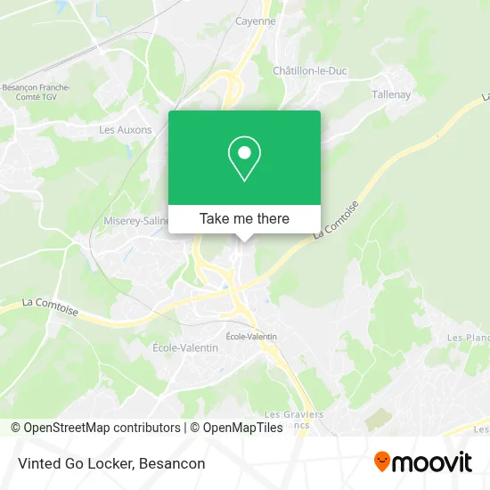 Vinted Go Locker map