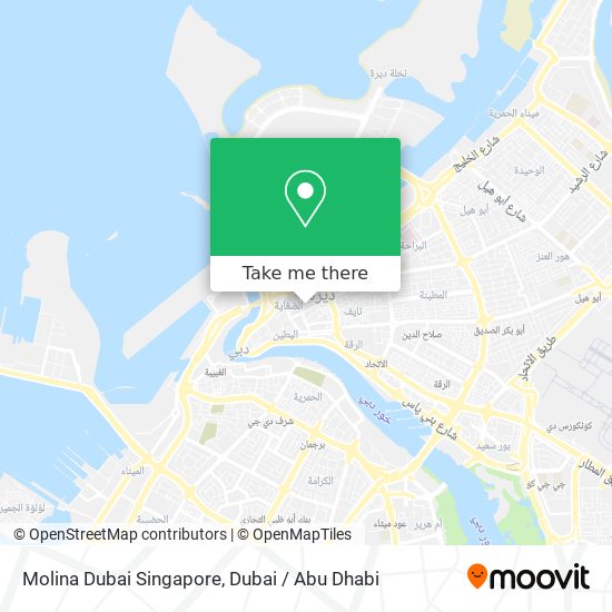 Molina Dubai Singapore map