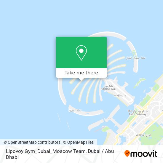 Lipovoy Gym_Dubai_Moscow Team map