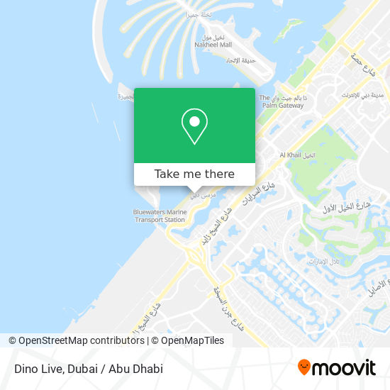 Dino Live map