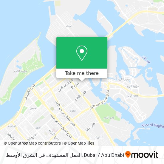 العمل المستهدف في الشرق الأوسط map