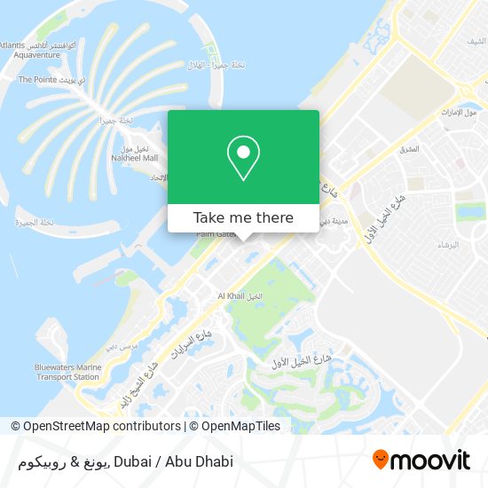 يونغ & روبيكوم map