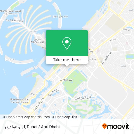 لولو هولدينغ map