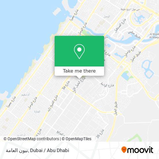 نيون العامة map