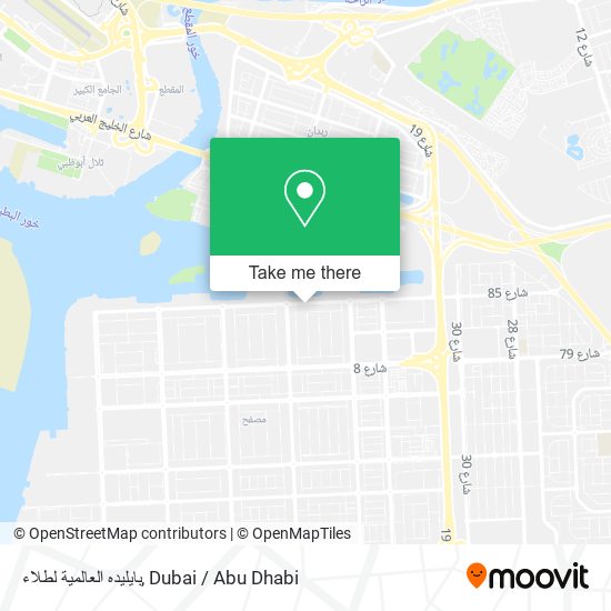 بايليده العالمية لطلاء map