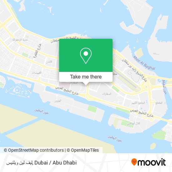 ليف لين ويلنيس map