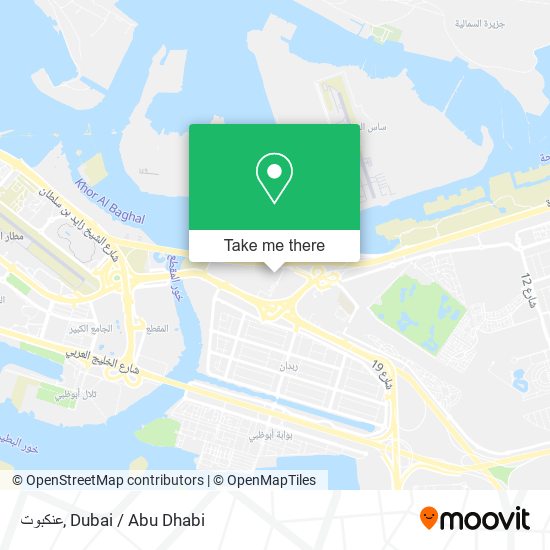 عنكبوت map