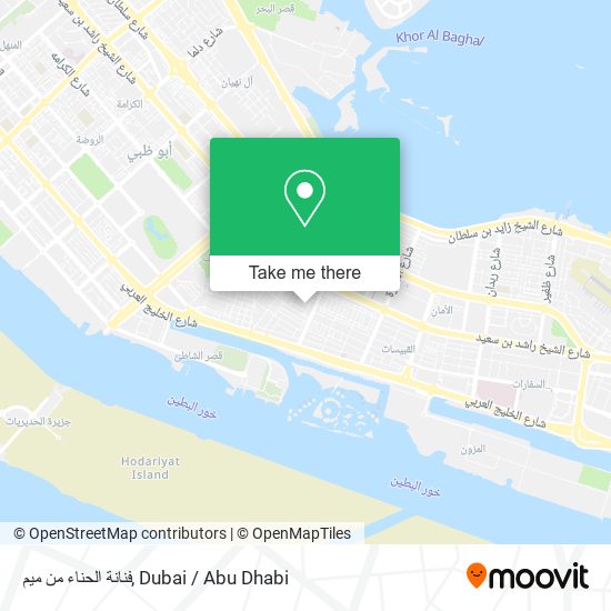 فنانة الحناء من ميم map