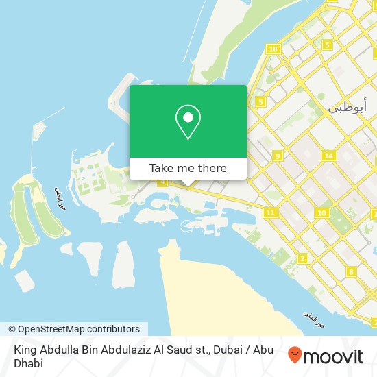 King Abdulla Bin Abdulaziz Al Saud st. map