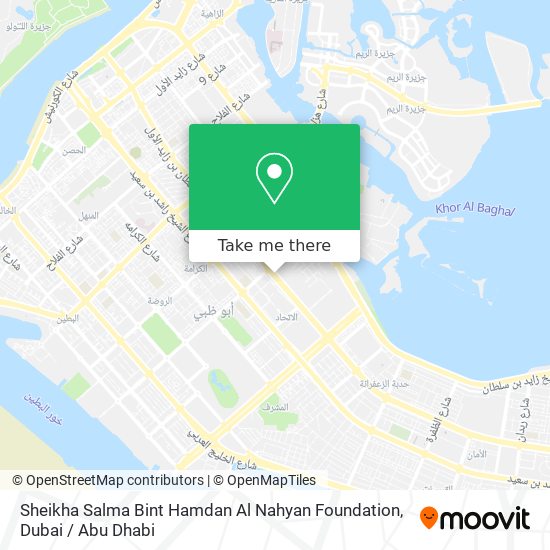 Sheikha Salma Bint Hamdan Al Nahyan Foundation map