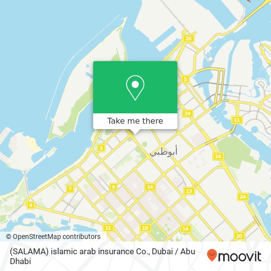 (SALAMA)  islamic arab insurance Co. map