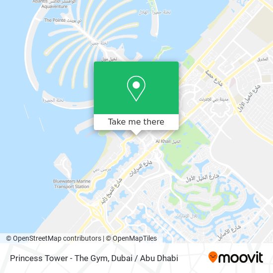 Princess Tower - The Gym map