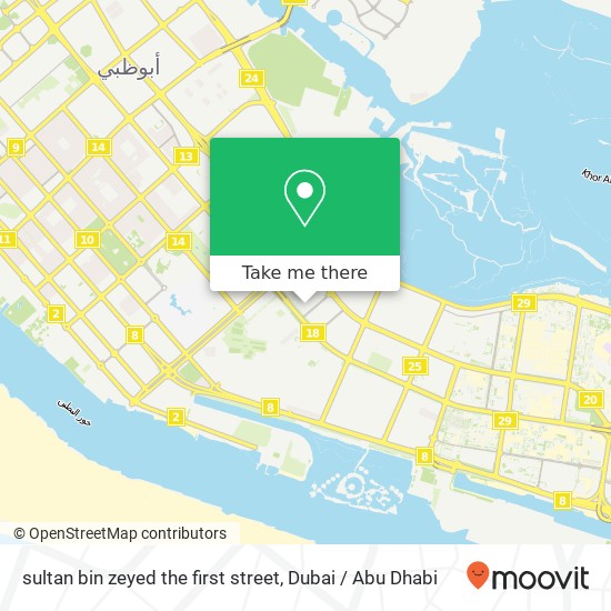 sultan bin zeyed the first street map