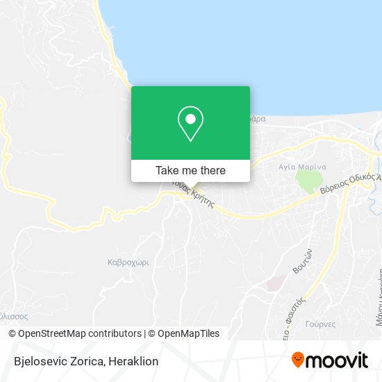 Bjelosevic Zorica map