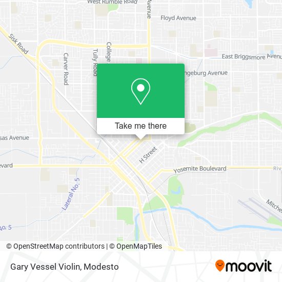 Gary Vessel Violin map
