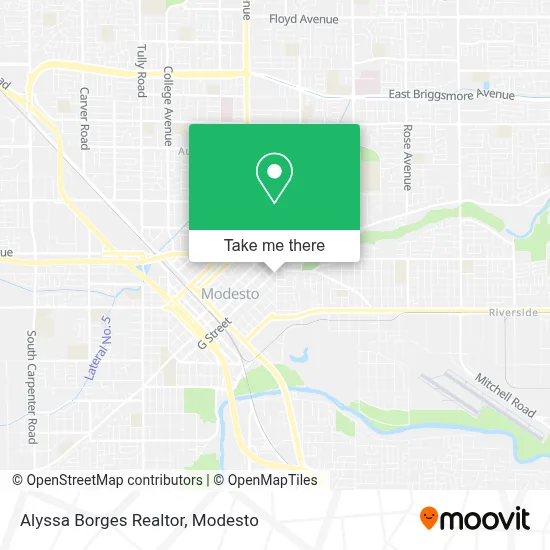 Alyssa Borges Realtor map