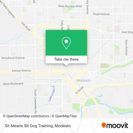 Sit Means Sit Dog Training map