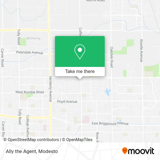 Ally the Agent map