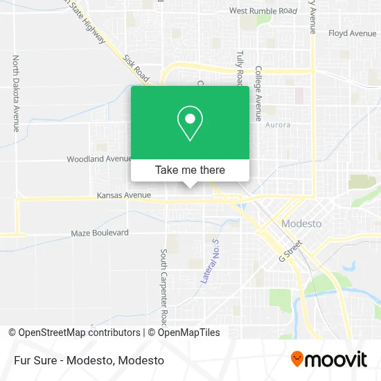 Fur Sure - Modesto map
