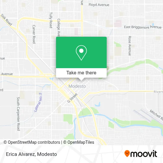 Erica Alvarez map