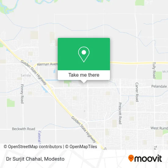 Dr Surjit Chahal map