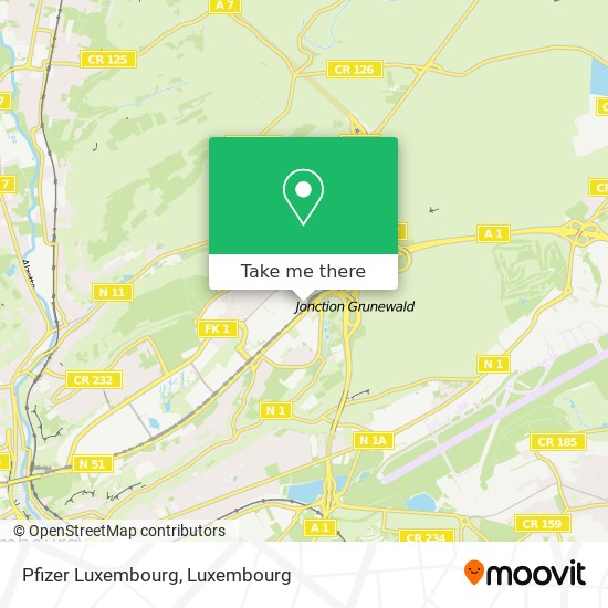 Pfizer Luxembourg map