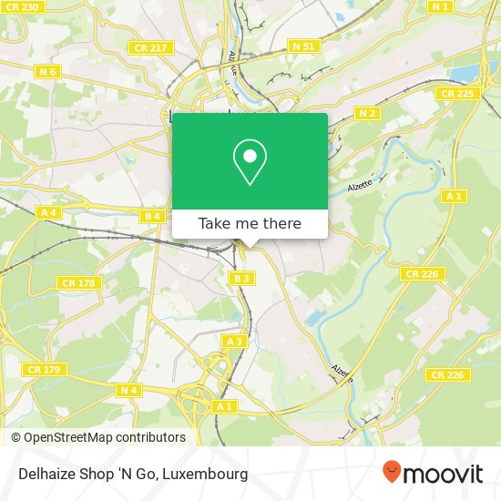 Delhaize Shop 'N Go map