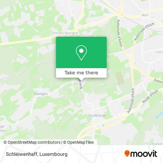 Schléiwenhaff map