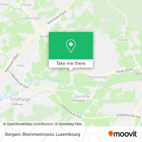 Bergem, Blummestrooss map