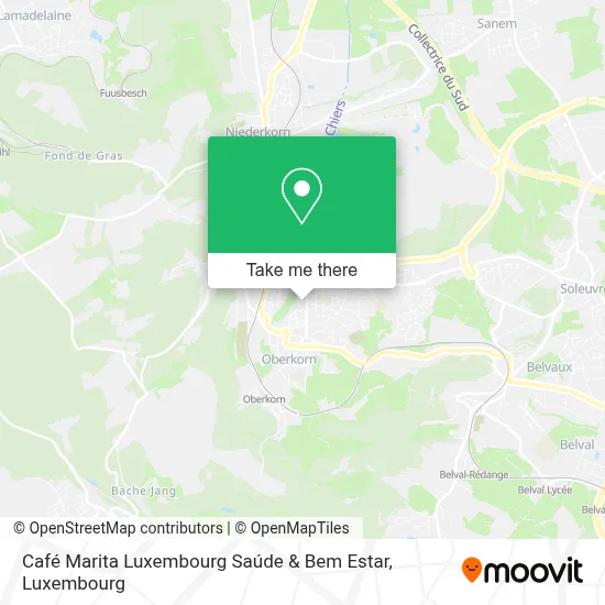 Café Marita Luxembourg Saúde & Bem Estar map